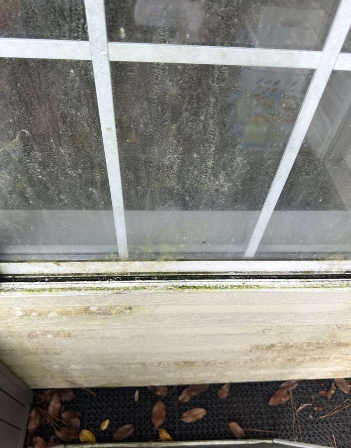 Close-up of dirty window glass and a moldy track before cleaning