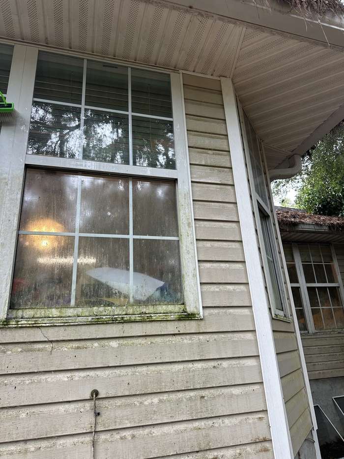 House window covered in grime and mildew before cleaning
